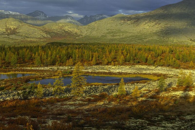 колыма,озеро Джека Лондона Колымская осень фото превью