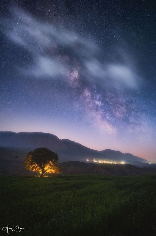 milkyway The Lonely Tree фото превью