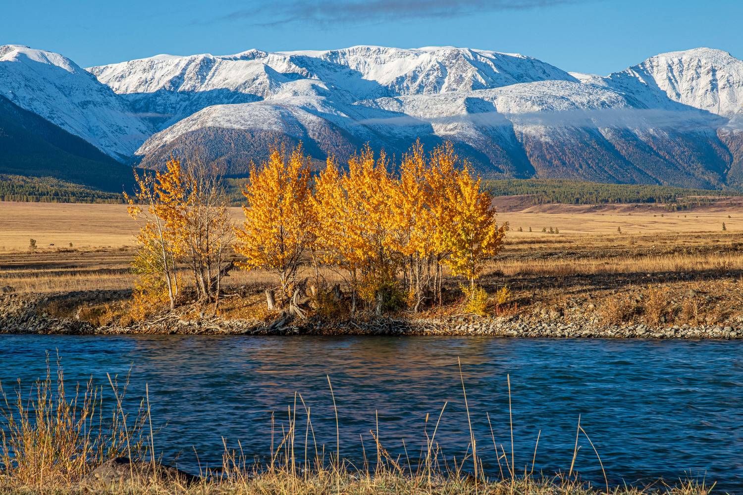 алтай, Добролюбова Тамара