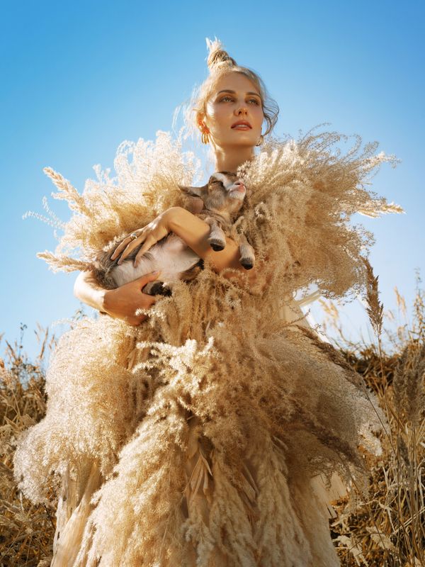 Feast of the Belle Époque фото превью