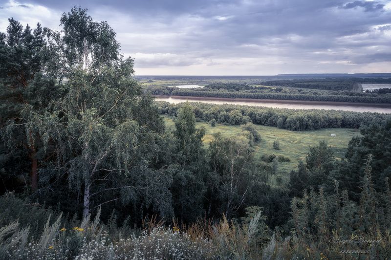 пейзаж, природа, река иртыш  фото превью