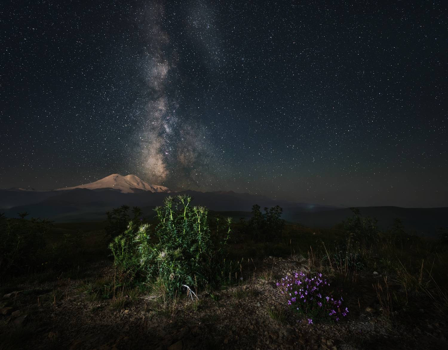 , Алексей Турчин