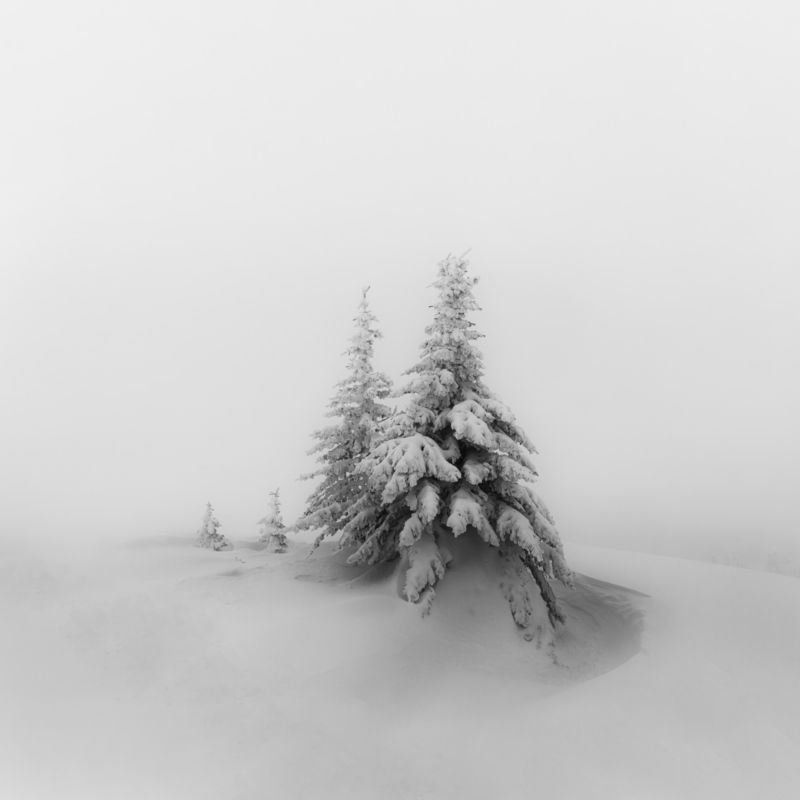 Белое безмолвие фото превью