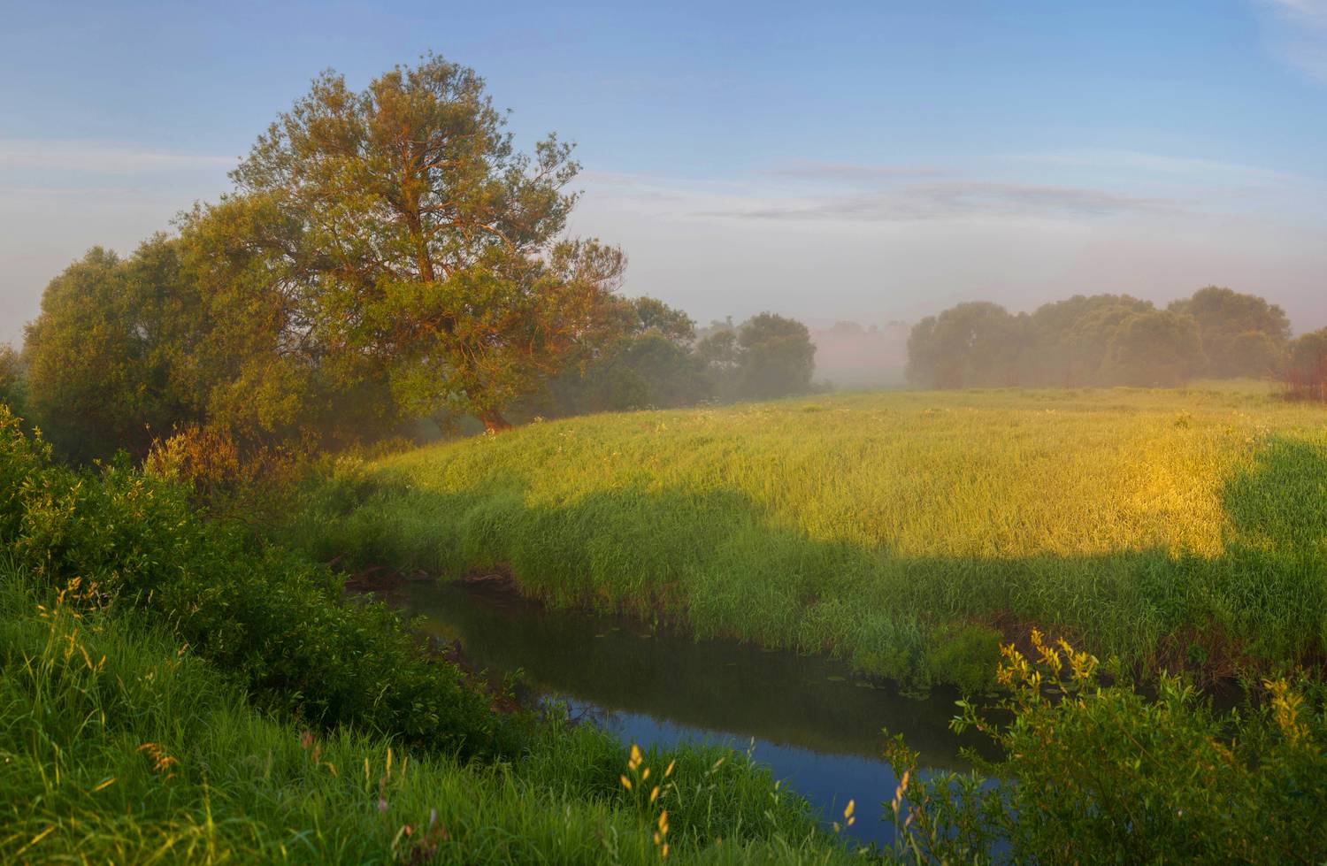 лето, река , туман, Свистков Александр