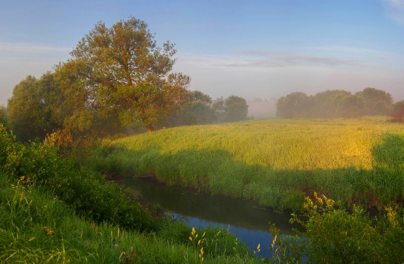 лето, река , туман  фото превью