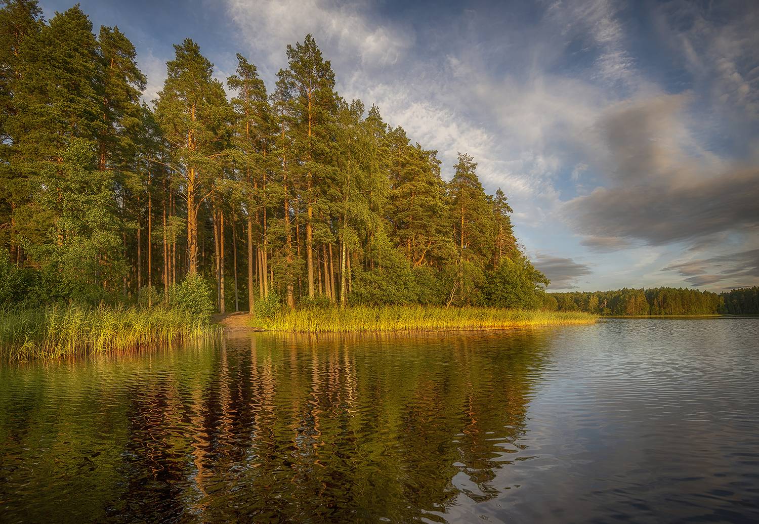 , Сергей Аникин