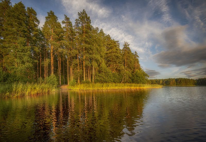 *** фото превью