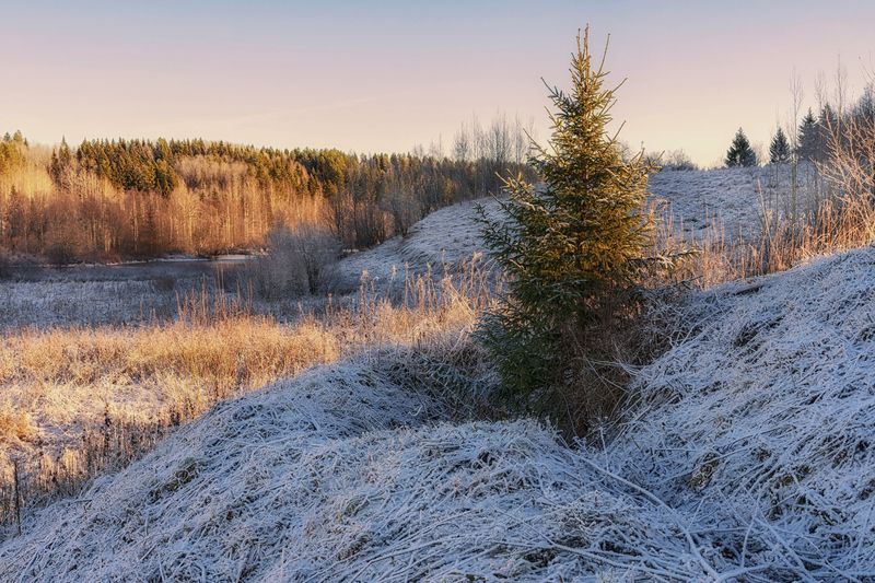 В начале зимы фото превью