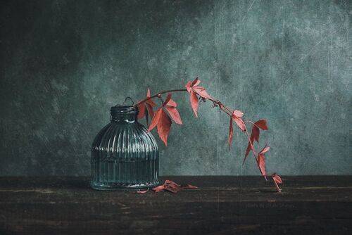 С веткой дикого винограда..