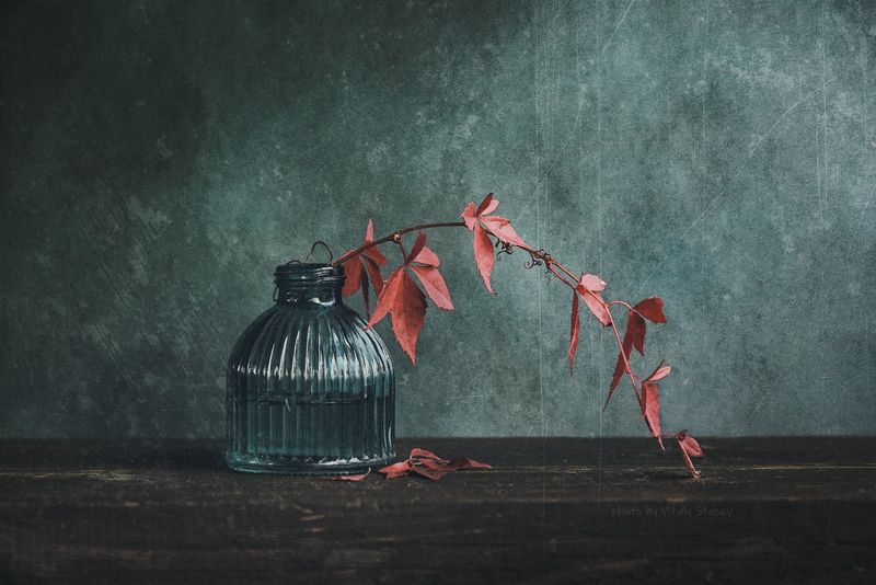 С веткой дикого винограда.. фото превью