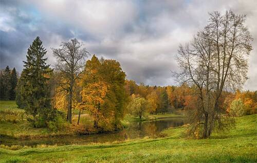 Краски осени