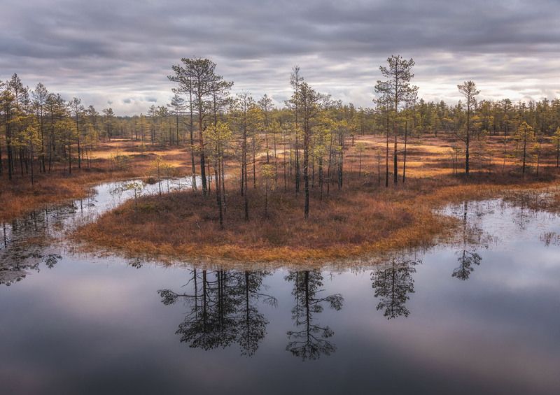 Осень на болотах фото превью