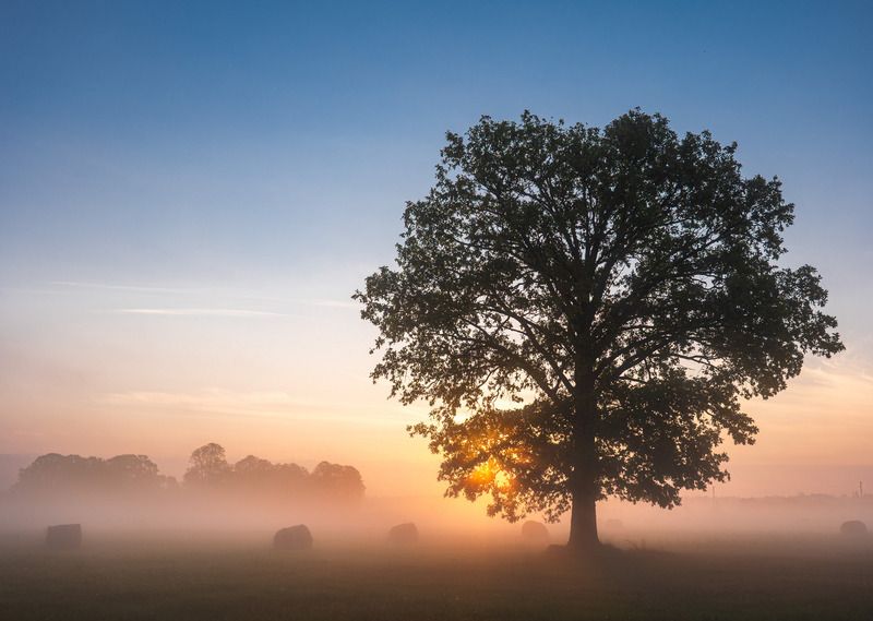 Яркое утро фото превью