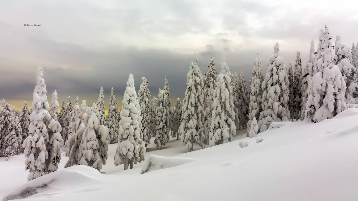 , Евдокимов Сергей