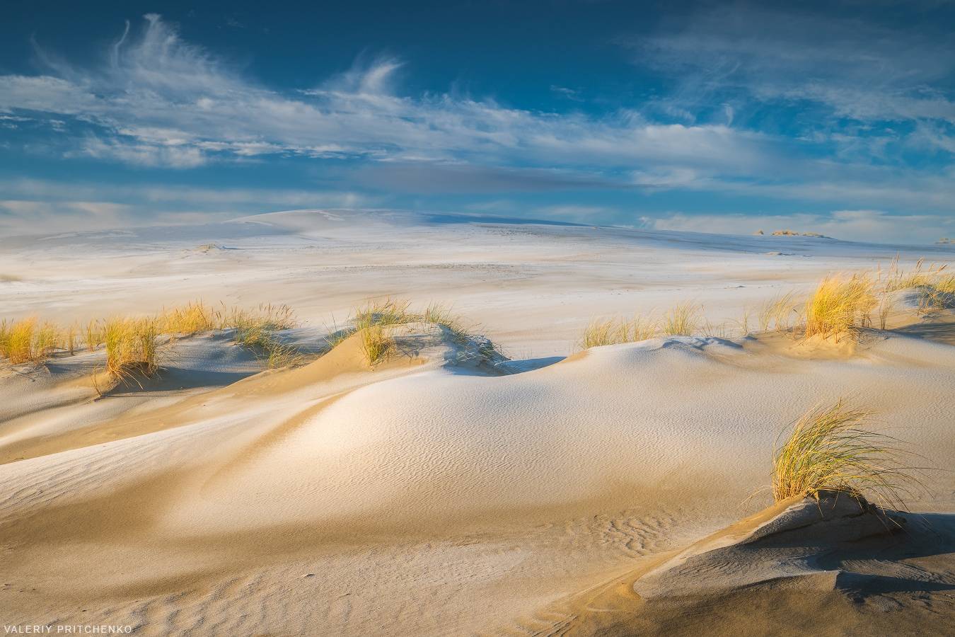 , Валерий Притченко