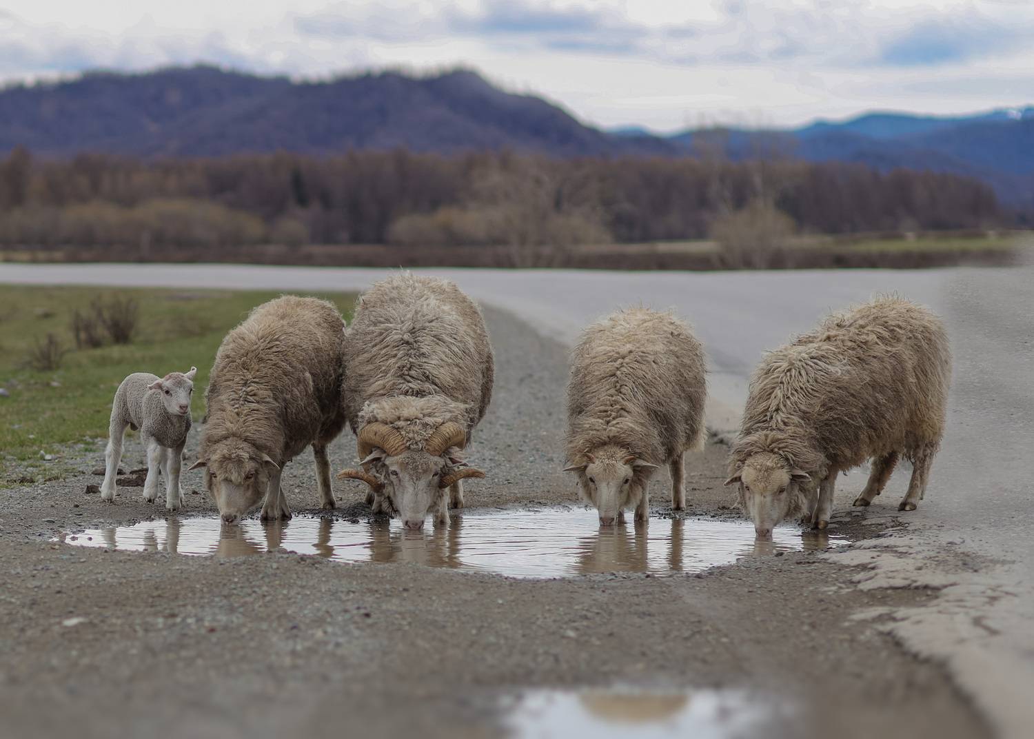 , Константин Буркин