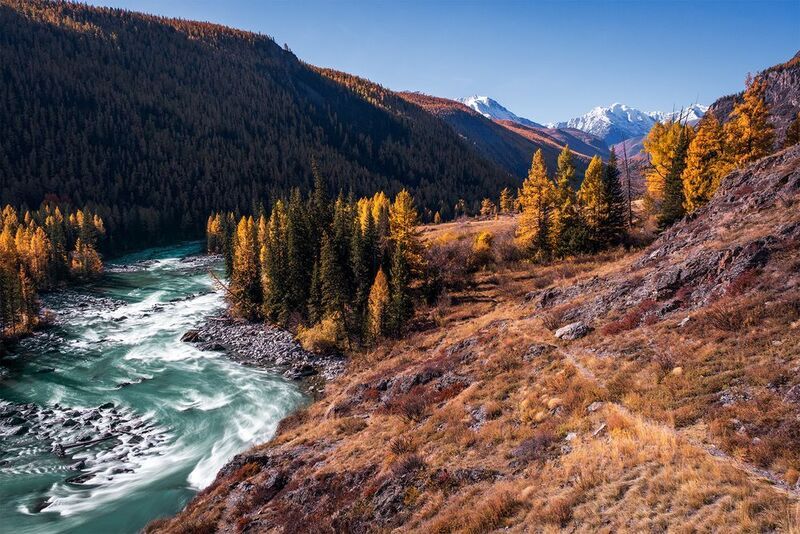 р. Чуя фото превью