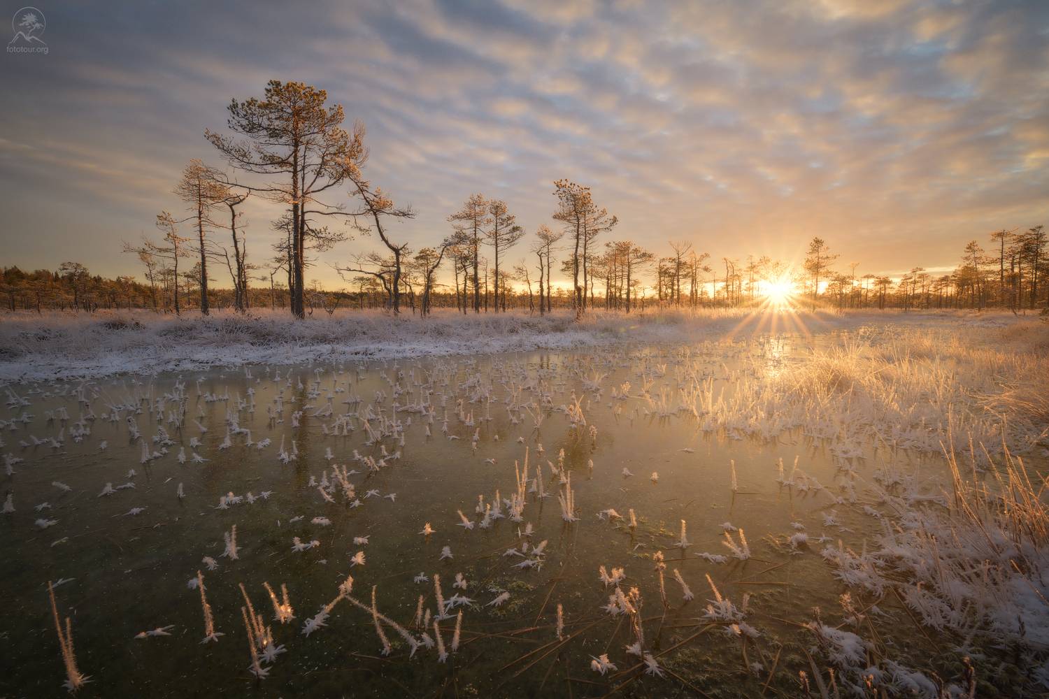 , Гордиенко Анатолий