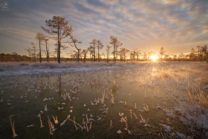 Заморозки фото превью