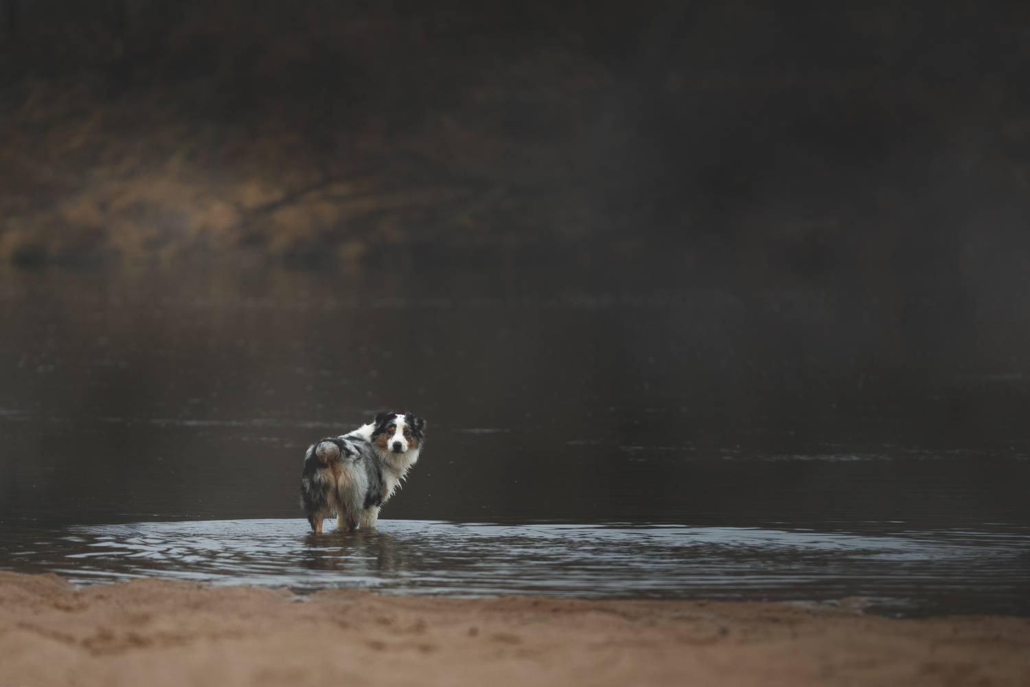 , Шерскова Мария