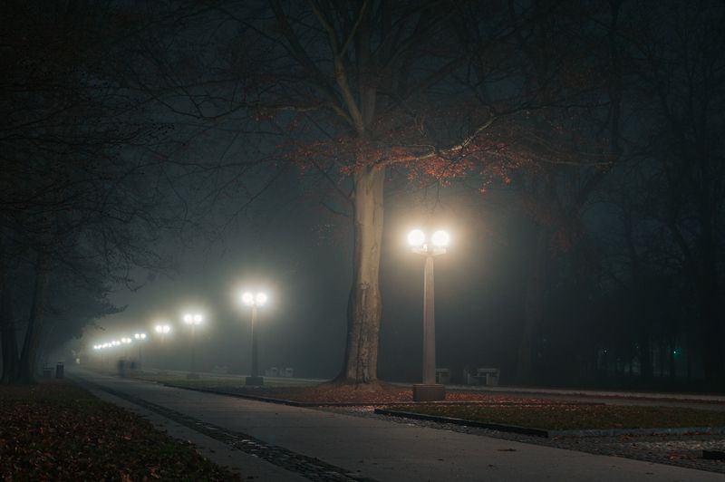 парк туман ночь дерево фонарь аллея Ночной парк фото превью