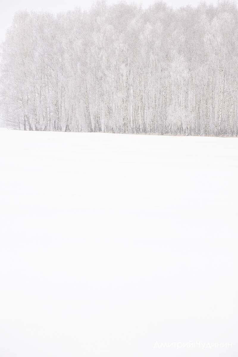 , Чудинин Дмитрий