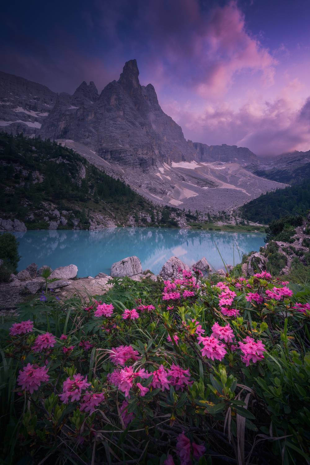 , Вукотић Никола