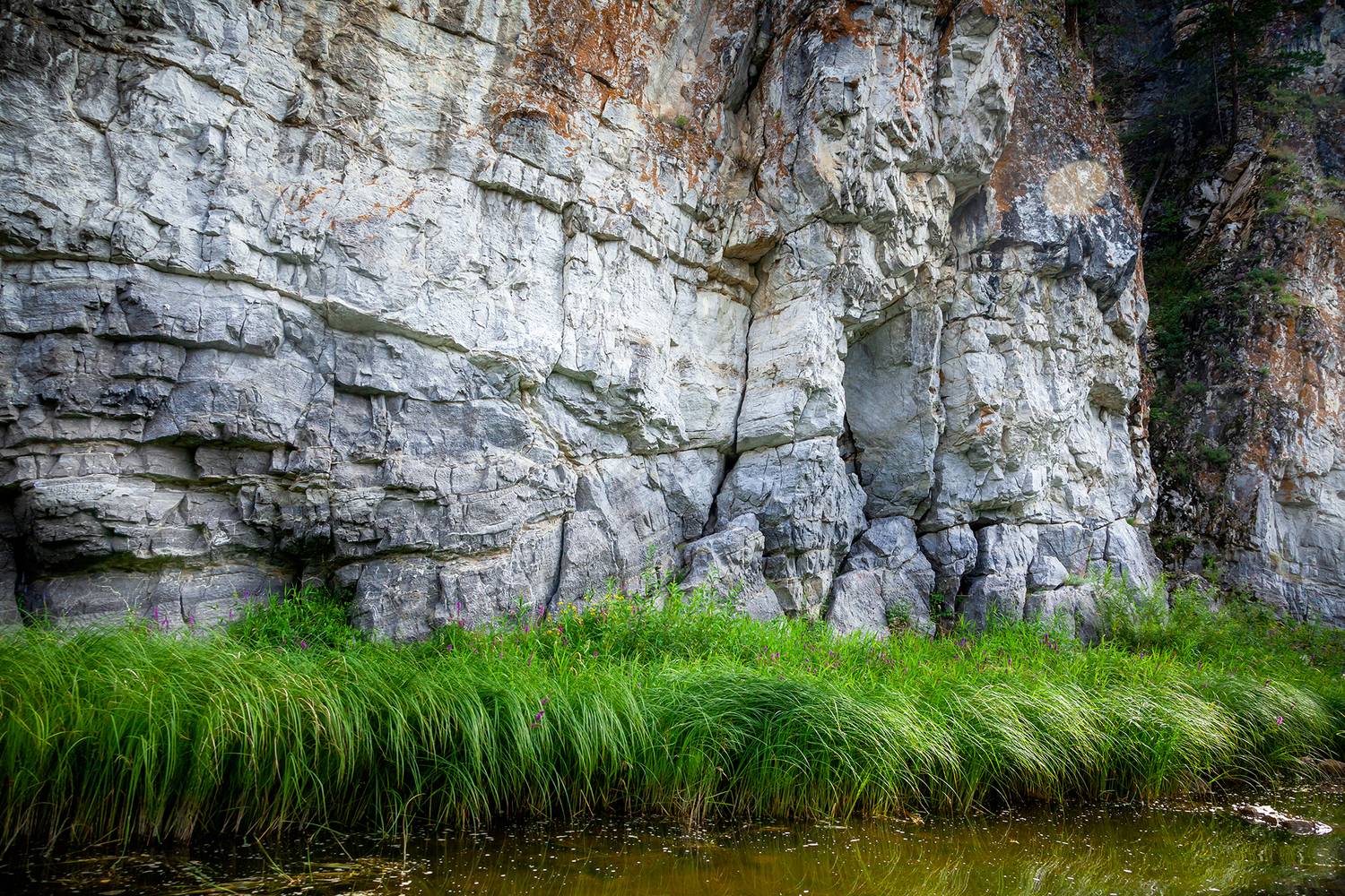 , Андрей Бортников