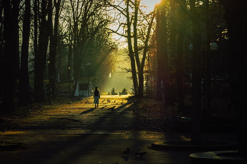 Прогулка фото превью