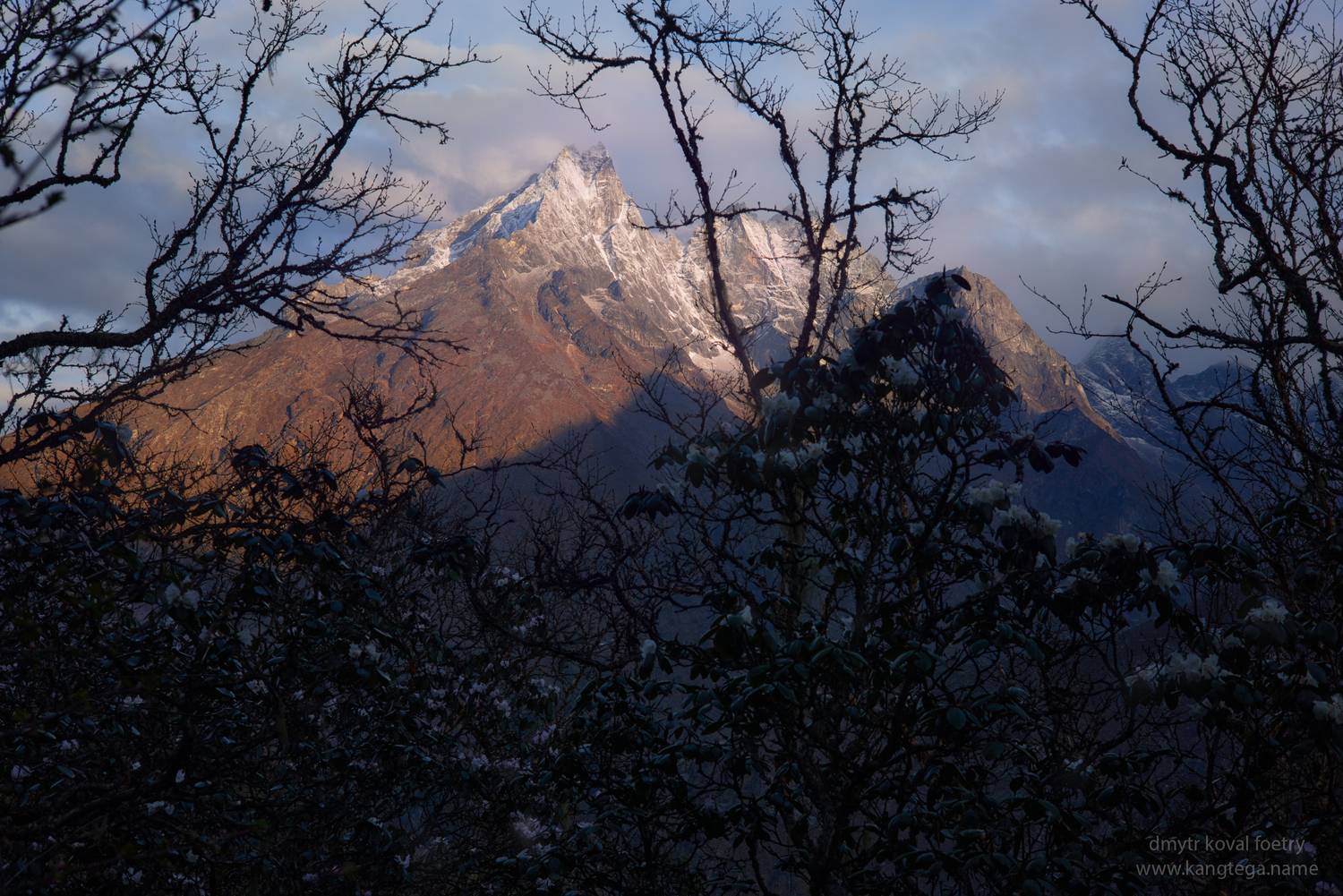 пейзажемагьё, пейзаж-как-виденье, Коваль Дмитр