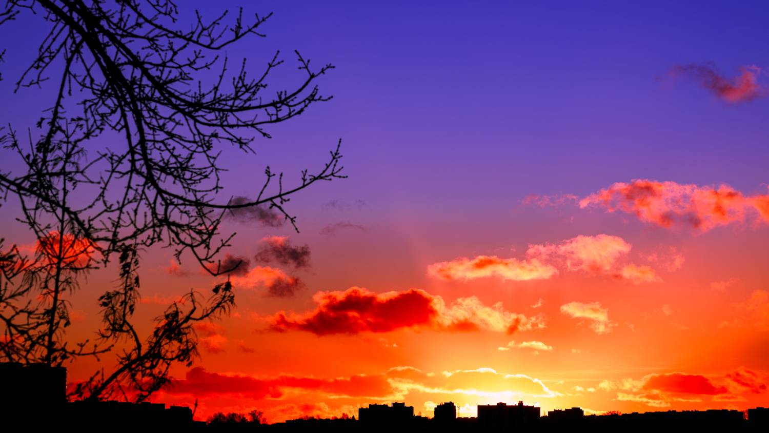 , Вертиков Юрий