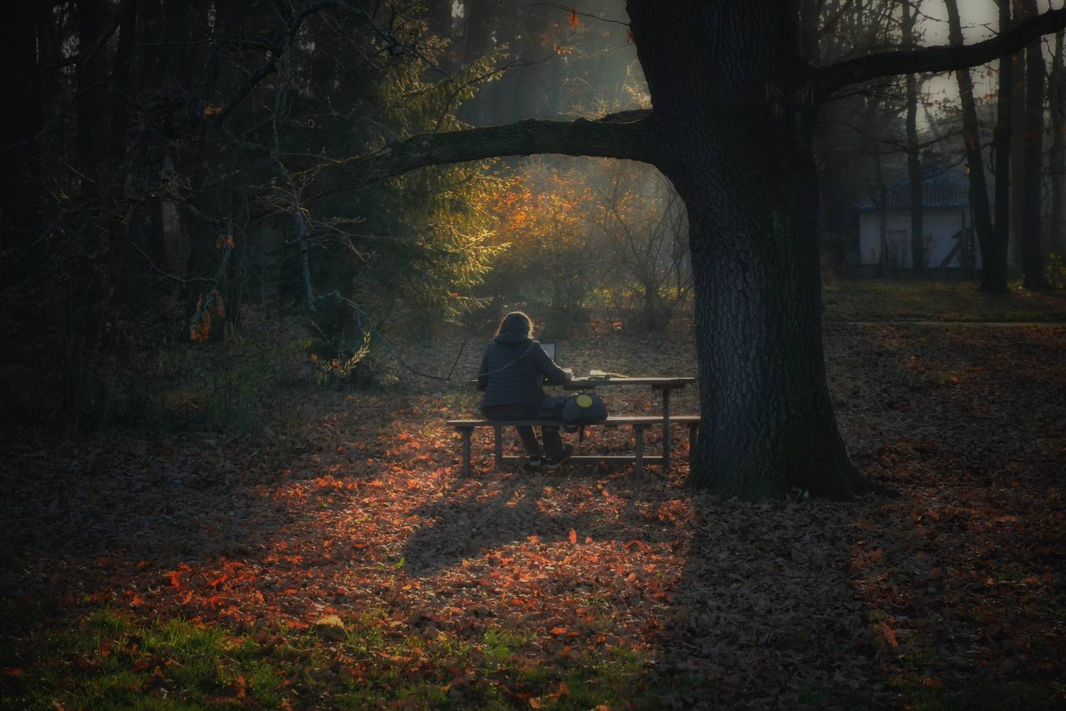 , Юлияна Стоянова