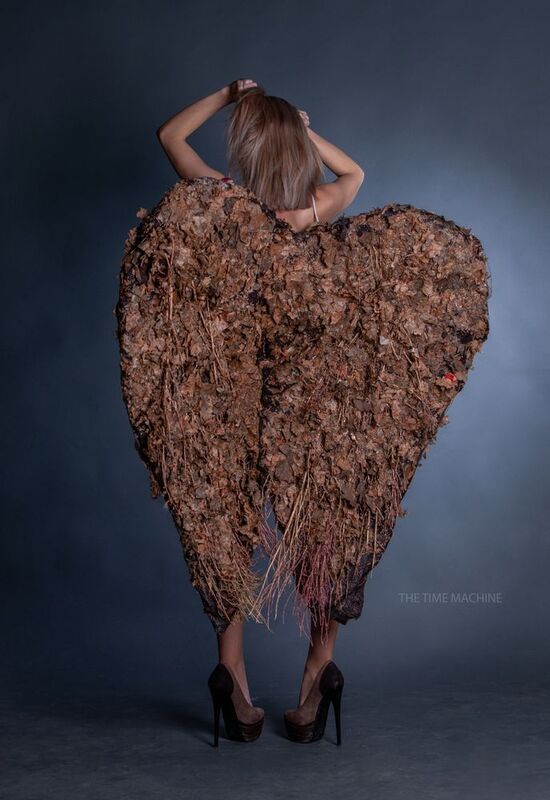 Крылья фото превью