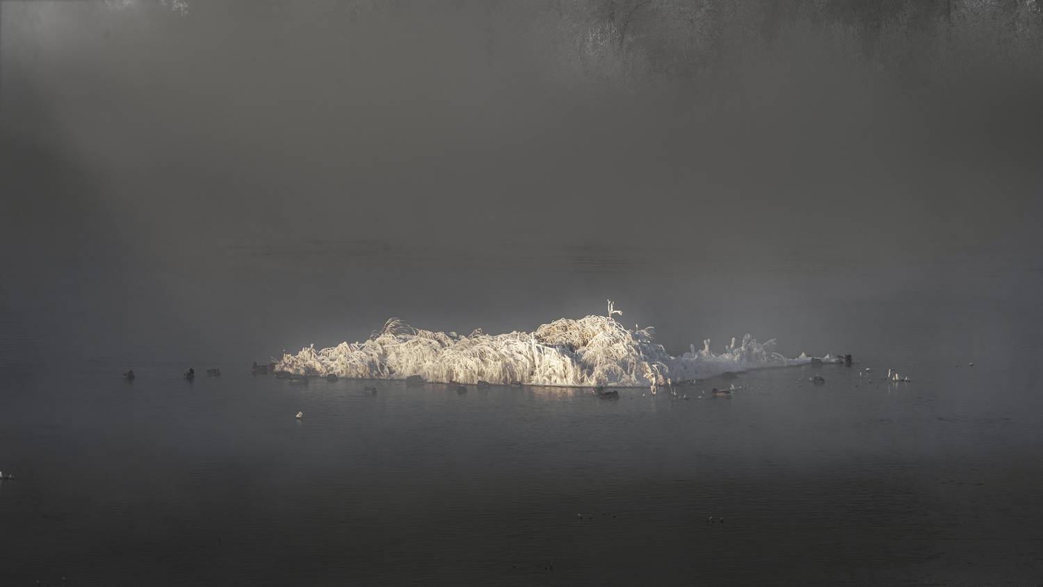 , Иван Гуторин