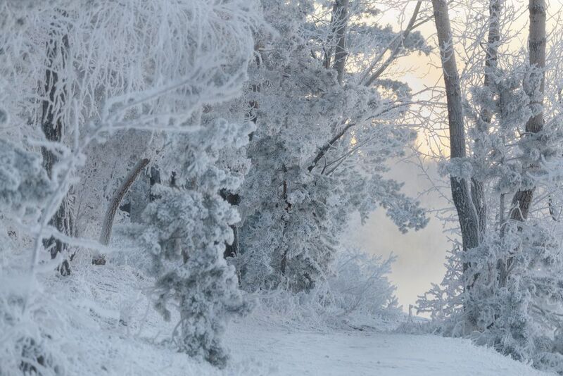 Снежное дыхание фото превью