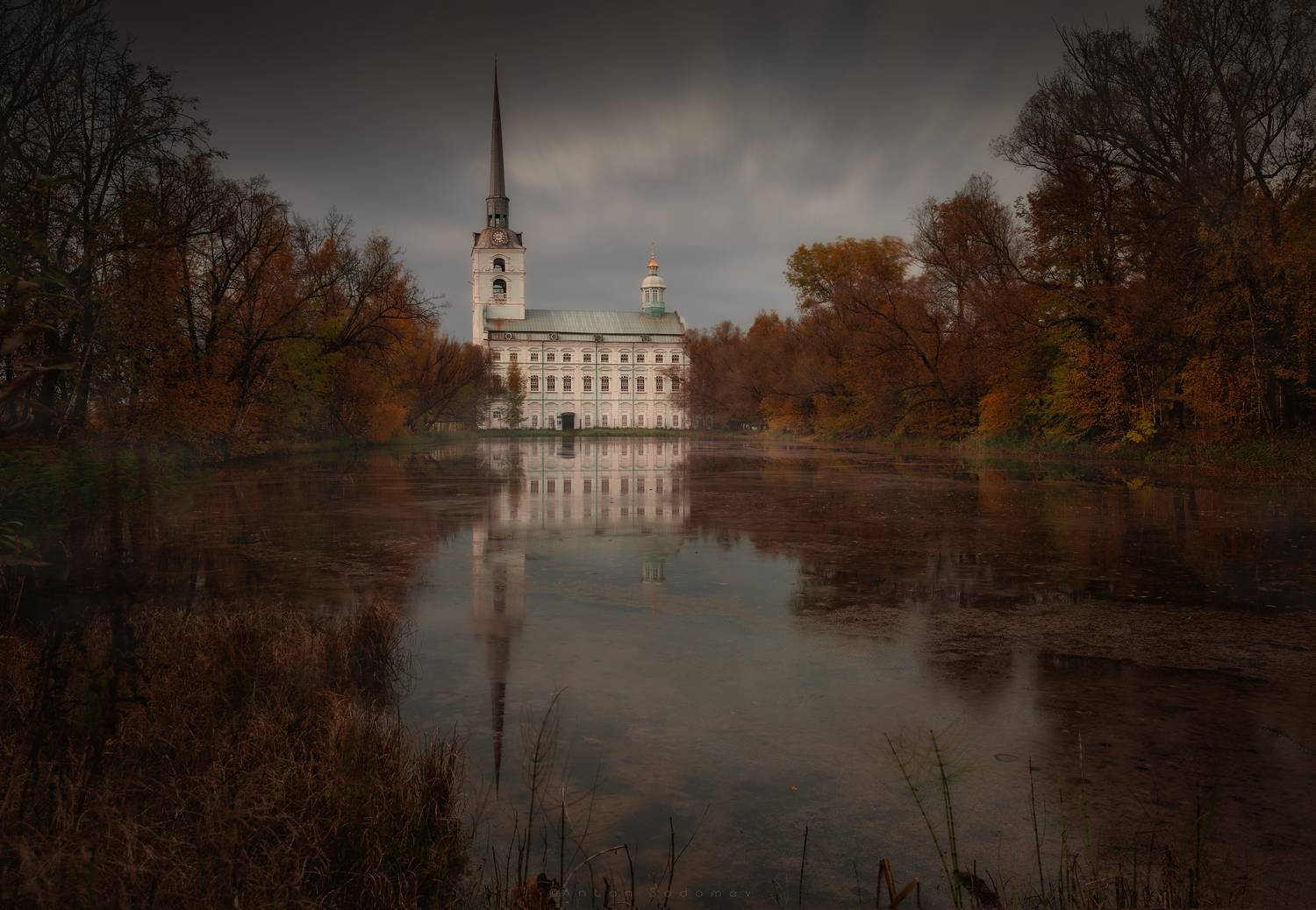 , Антон Садомов