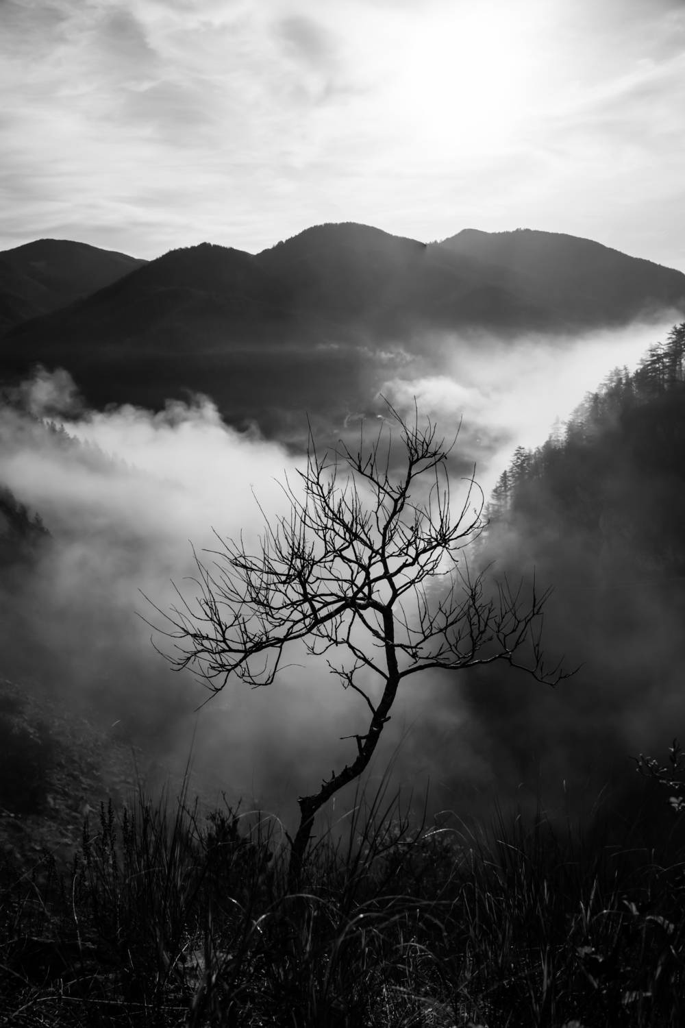 , Шилов Александр