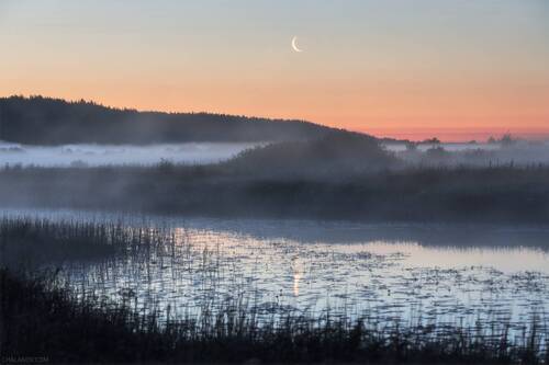 Туманное утро