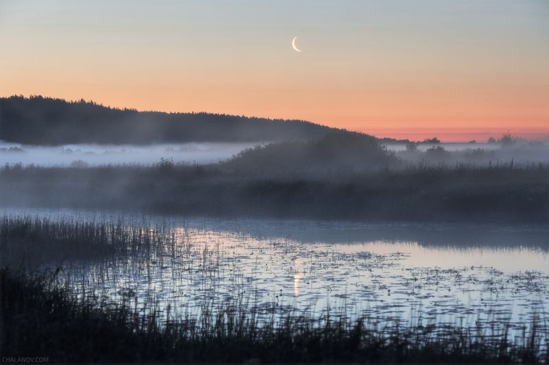пейзаж, луна, рассвет, лето, туман, озеро, луг Туманное утро фото превью