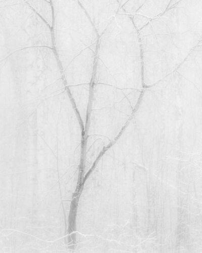 Дыхание тишины