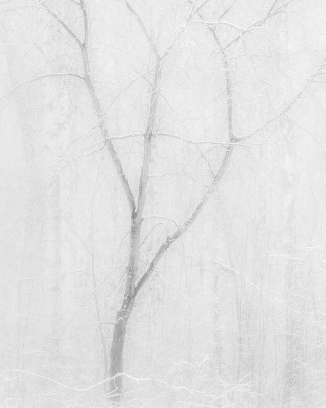 Дыхание тишины фото превью