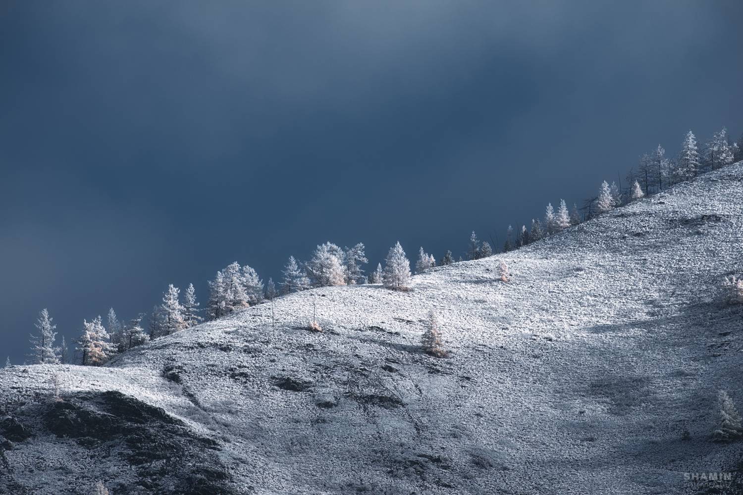 , Константин Шамин