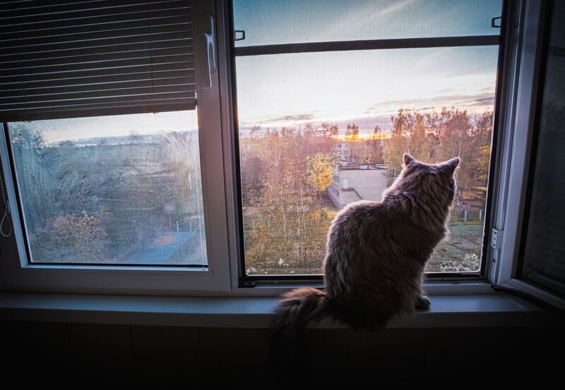 Московская обл. Вяземы В ожидании осени... фото превью