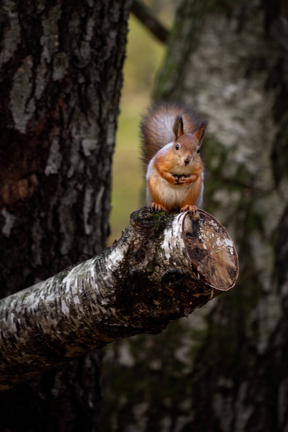 , Завьялова Людмила!