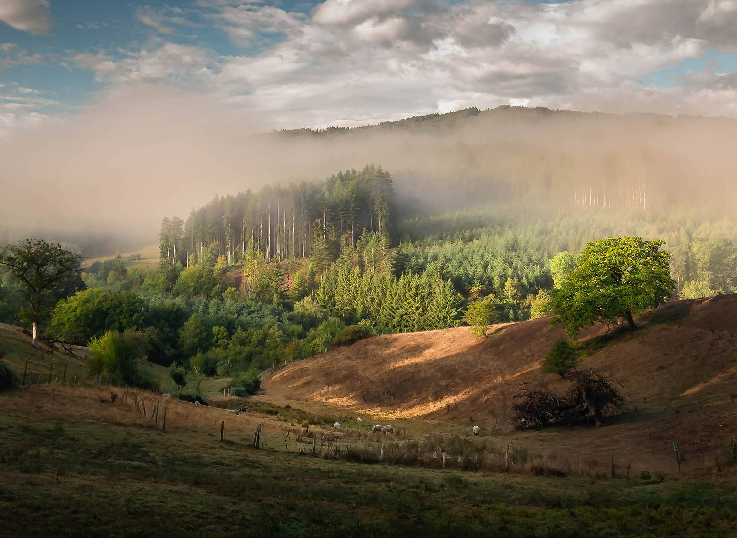 , Gasiorowski Wladyslaw