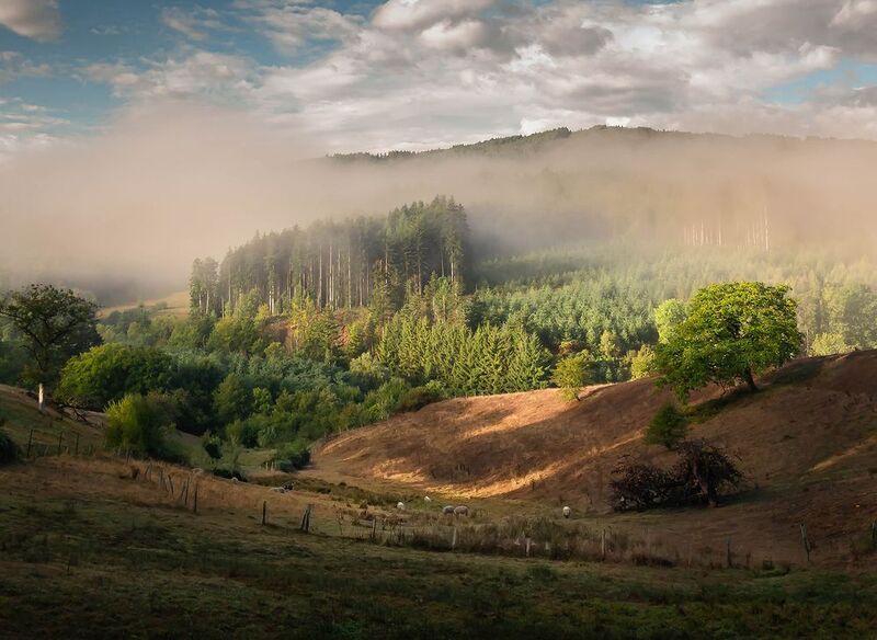 Kolorowy poranek! фото превью
