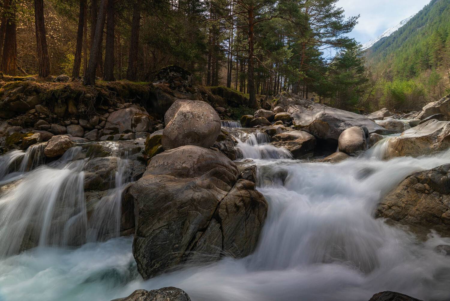 , Шевченко Юрий