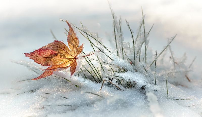 Утонул в сугробе фото превью