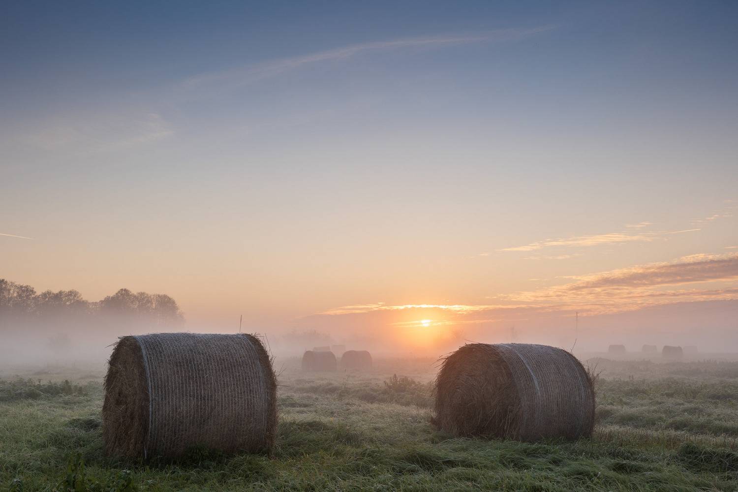 , Гордон Николай