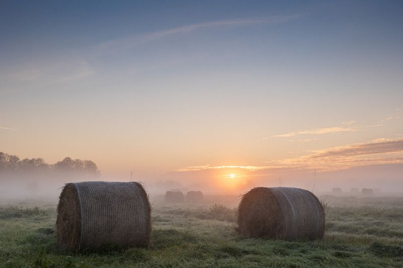 Туманное утро фото превью